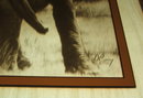 Vintage Dennis Curry Elephant Print on Glass