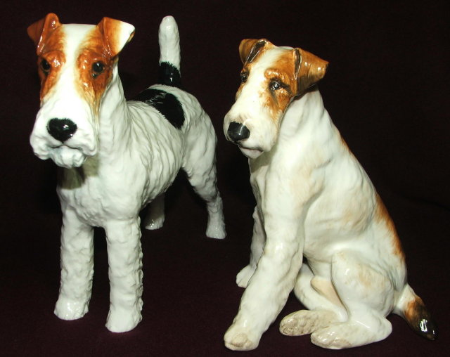 large rough haired dog