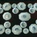 MEAKIN Flow Blue Dinnerware - 41 piece LIBERTY Cobalt Blue Pattern - Antique Ironstone Porcelain