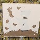 BLACK SCOTTY DOG SILHOUETTE REVERSE PAINTED GLASS SQUARE WALL DECORATION