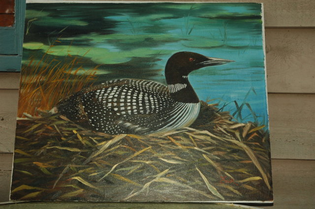 North American Loon  Oil Painting on Canvas Signed