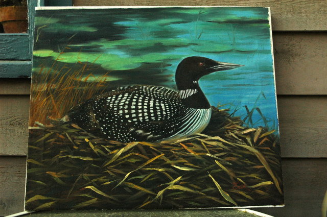 North American Loon  Oil Painting on Canvas Signed