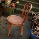 Antique Thonet Bentwood  Cafe Chair, Bistro Chair with Steam Embossed Seat Original Label