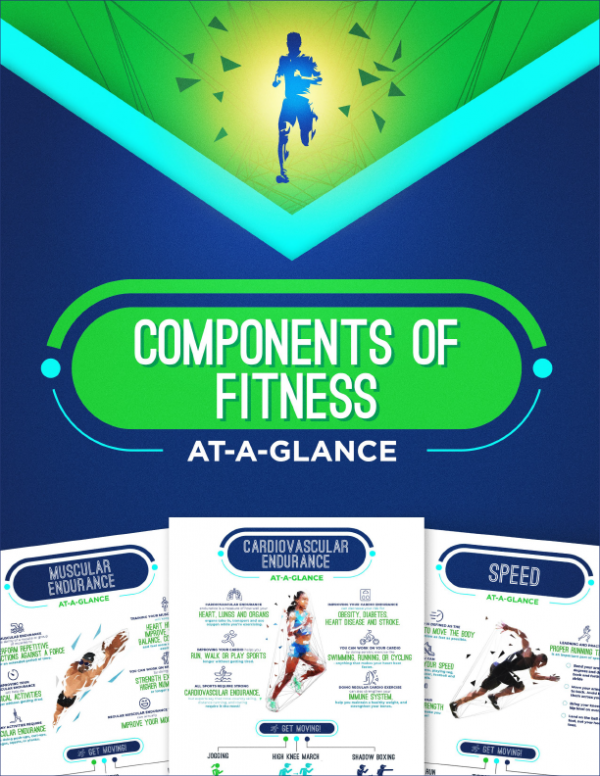 Components of Fitness At a Glance