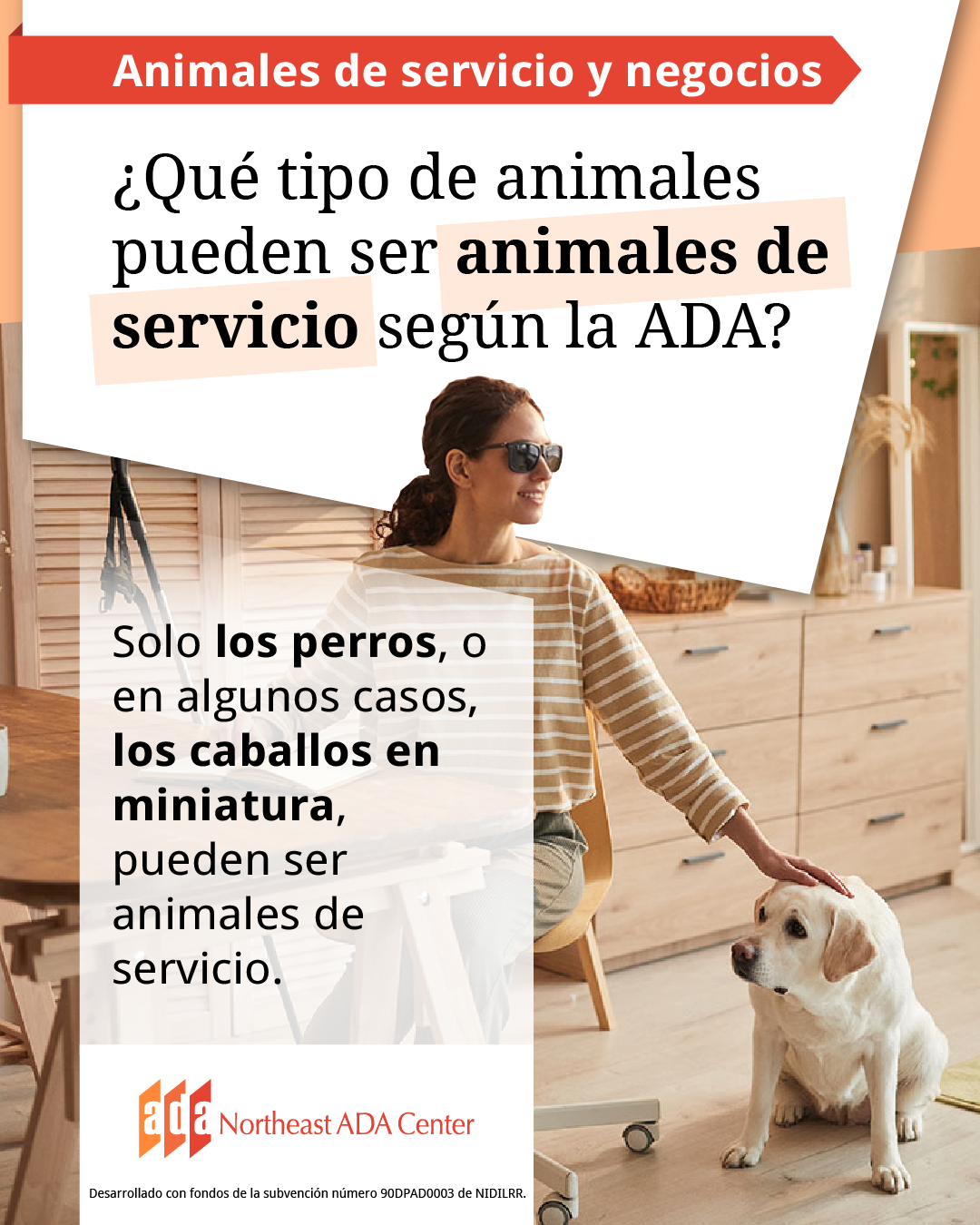 Un anuncio para redes sociales con un manejador de perros de servicio sentado en un escritorio y acariciando al perro.
El texto dice: ¿Qué tipo de animales pueden ser animales de servicio según la ADA? Solo los perros—o en algunos casos—los caballos en miniatura, pueden ser animales de servicio.