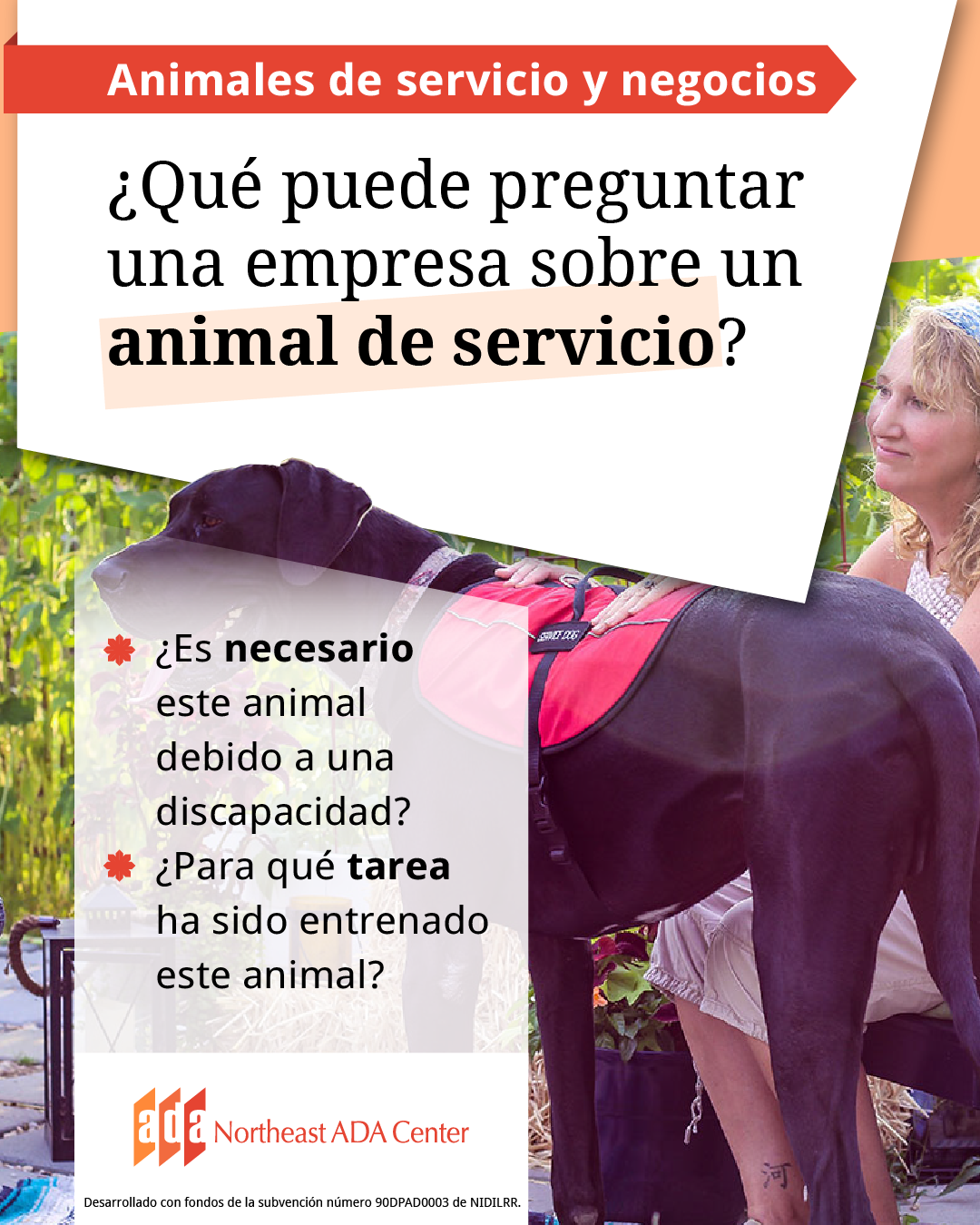 Un anuncio para redes sociales con un gran perro de servicio parado junto a su manejador sentado. El texto dice:
¿Qué puede preguntar una empresa sobre un animal de servicio?
¿Es necesario este animal debido a una discapacidad?
¿Para qué tarea ha sido entrenado este animal?