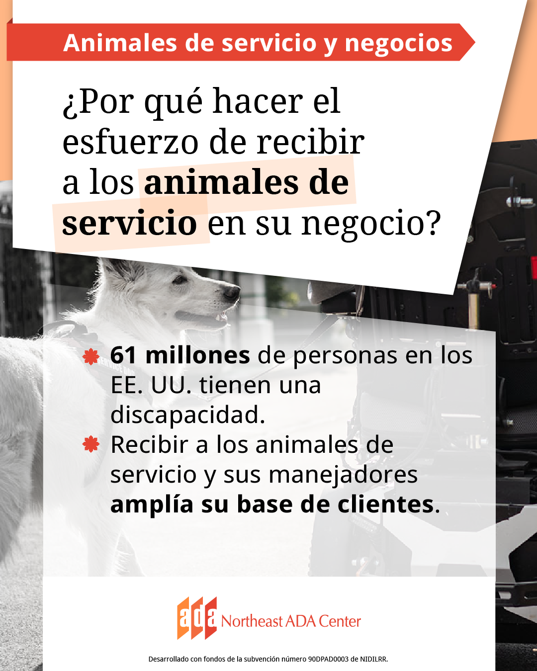 Un anuncio para redes sociales con la parte trasera de una silla de ruedas motorizada con un perro de servicio caminando a su lado El texto dice:
¿Por qué hacer el esfuerzo de recibir a los animales de servicio en su negocio? 61 millones de personas en los EE. UU. tienen una discapacidad. Recibir a los animales de servicio y sus manejadores amplía su base de clientes.
