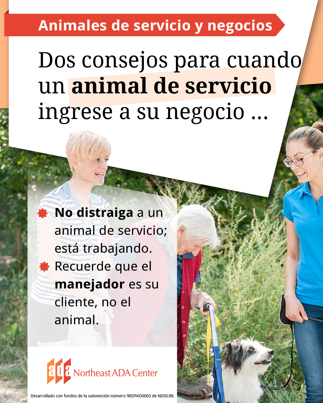 Un anuncio para redes sociales con tres personas y un perro de servicio se paran en un camino frente a unos arbustos. Una persona está utilizando un andador. El texto dice:
Dos consejos para cuando un animal de servicio ingrese a su negocio ...
No distraiga a un animal de servicio; está trabajando.
Recuerde que el manejador es su cliente, no el animal.