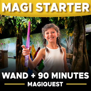 MagiQuest Starter (Includes Wand To Keep)