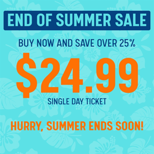End of Summer Savings!