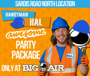 HANDYMAN HAL'S AWESOME PARTY