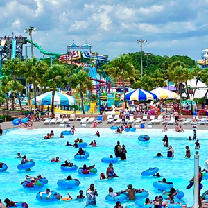 Early Bird Season Pass - Individual