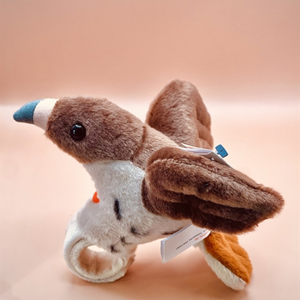 Red Tail Hawk High Flyer