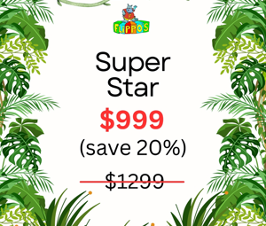 Super Star Party Online