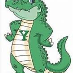 Yake Elementary Family Fun Night 