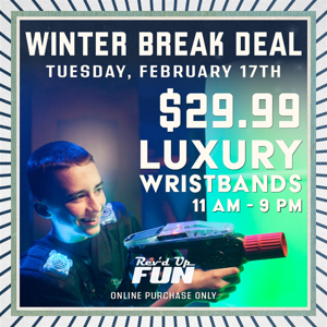 Winter Break Online Special- $29.99 Luxury Wristbands!  