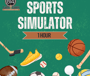 .Sports Simulator 1 Hour