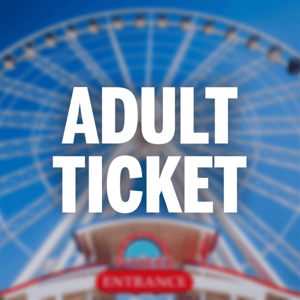 Adult Wheel (Hotel)