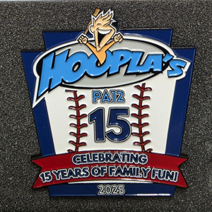 2025 LLWS Pin
