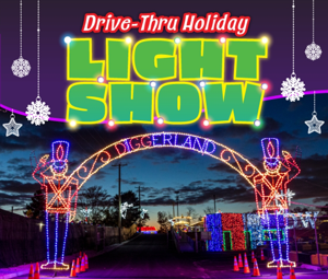 Holiday Light Show Collab