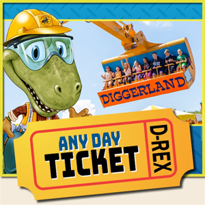 Any Day Ticket Any Day Ticket