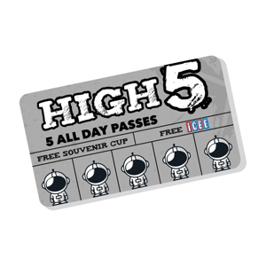 HIGH 5 Punch Card
