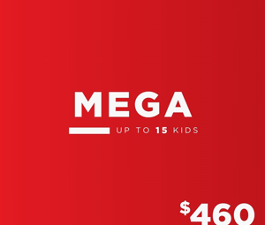 Mega Birthday Party