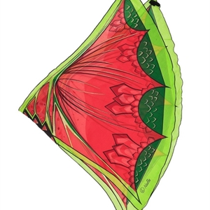 Dragon Wing Dragon Wing