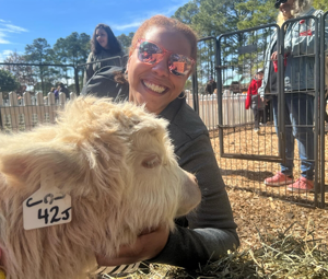 3 Cow Cuddling Cabana