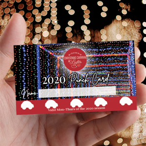 Christmas Light Show 5 Pack Christmas Light Show 5 Pack
