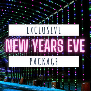 New Year's Eve Special 6 p.m. New Year's Eve Special 6 p.m.