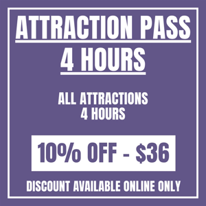 Attraction Pass - 4 Hour
