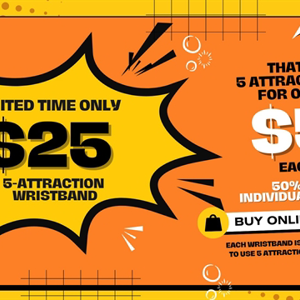Online 5 Attraction Pass