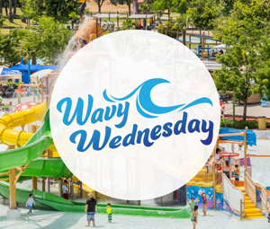 2025 Wavy Wednesday