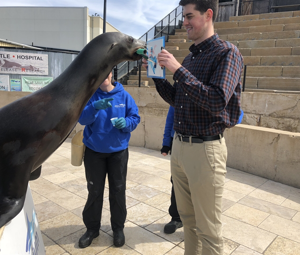 Painting W/ Pinnipeds