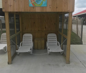 Wipeout 7- Kelsey's Coconuts