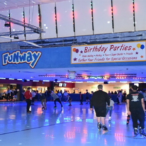 Fabyan Elementary Rink Rental