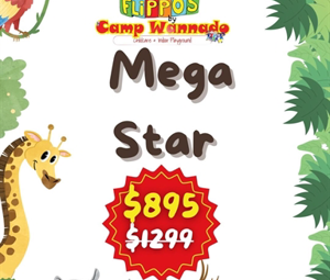 5. Mega Star Package