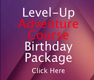 Level-Up AC Party Level-Up AC Party