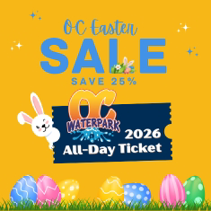 2026 All Day Wristband - Easter Sale!