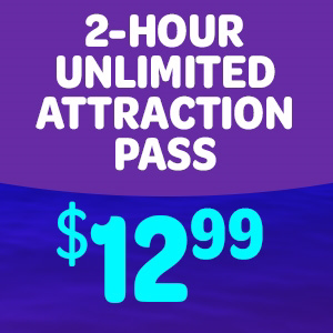 Black Friday Lead Up 2 Hour Unlimited Fun Center Activi