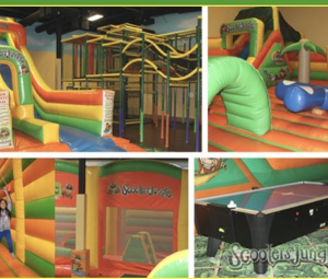 Party: Village Arena 2026