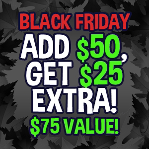 Black Friday: Add $50 Get $25