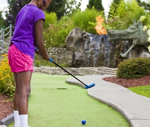 Mini Golf Party $209 Mini Golf Party $209