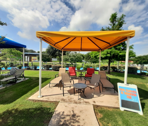 Cabana #6: The Parrot Fish