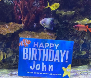 Under the Sea Bday Party