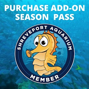 Season Pass Add-on Season Pass Add-on