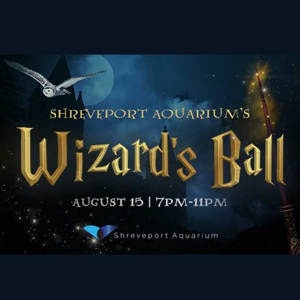 Wizards Ball Wizards Ball