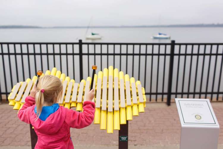 Pika buffalo case study 02 image