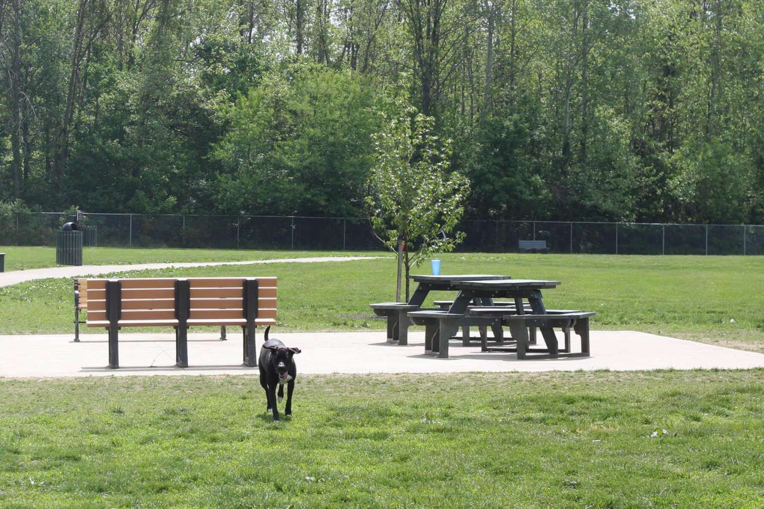 PlayCore Embracing the needs of community through planning & land use